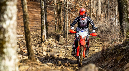 CRF300L
