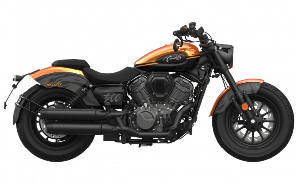 Шиншилла 500 Р / Chinchilla 500 R