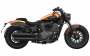 Шиншилла 500 Р / Chinchilla 500 R