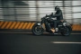 Шиншилла 500 Р / Chinchilla 500 R