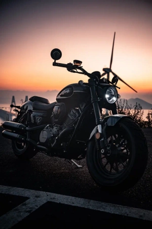 Шиншилла 500 Р / Chinchilla 500 R
