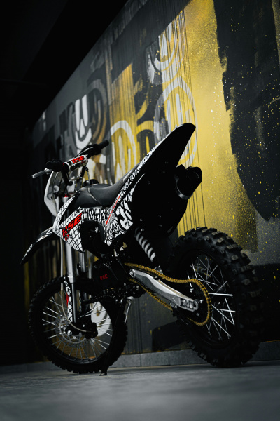 EX 125E MAX13