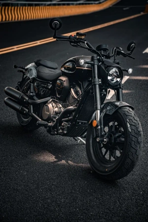 Шиншилла 500 Р / Chinchilla 500 R