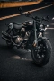 Шиншилла 500 Р / Chinchilla 500 R