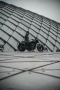 Шиншилла 500 Р / Chinchilla 500 R