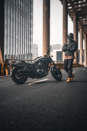 Шиншилла 500 Р / Chinchilla 500 R