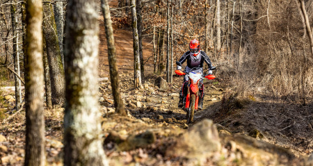 CRF300L