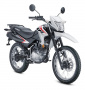 XR125L
