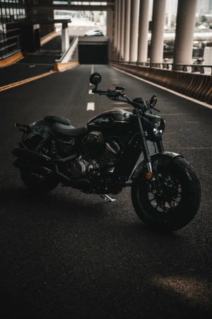 Шиншилла 500 Р / Chinchilla 500 R