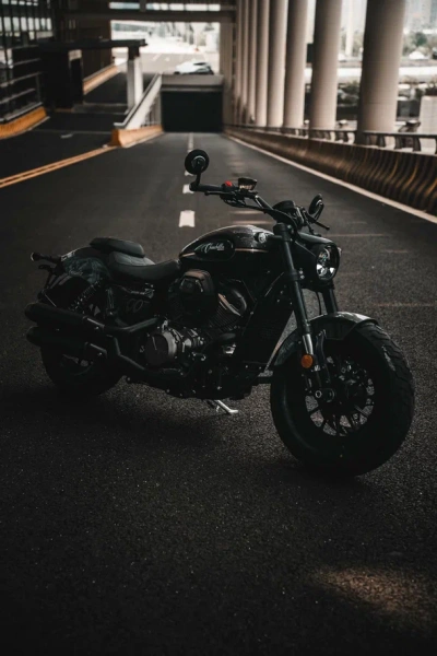 Шиншилла 500 Р / Chinchilla 500 R