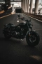 Шиншилла 500 Р / Chinchilla 500 R