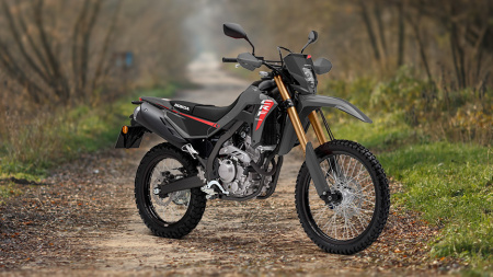 CRF300L