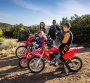 CRF300L