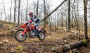 CRF300L